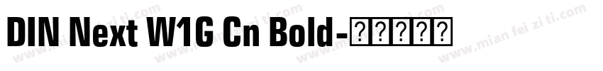DIN Next W1G Cn Bold字体转换